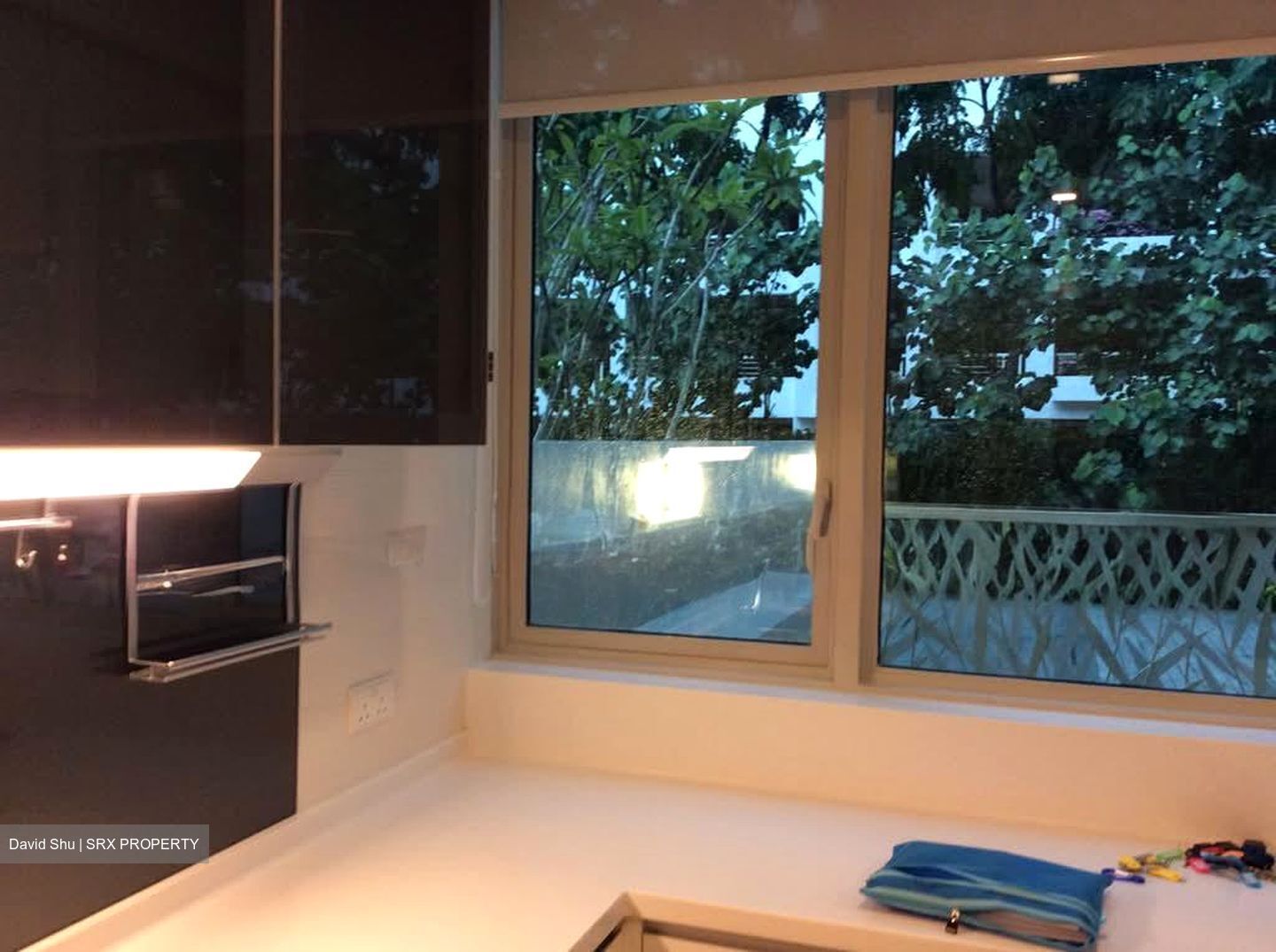 The Vision (D5), Condominium #599645141